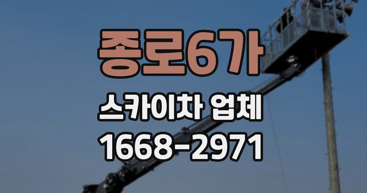 종로6가 스카이차 업체