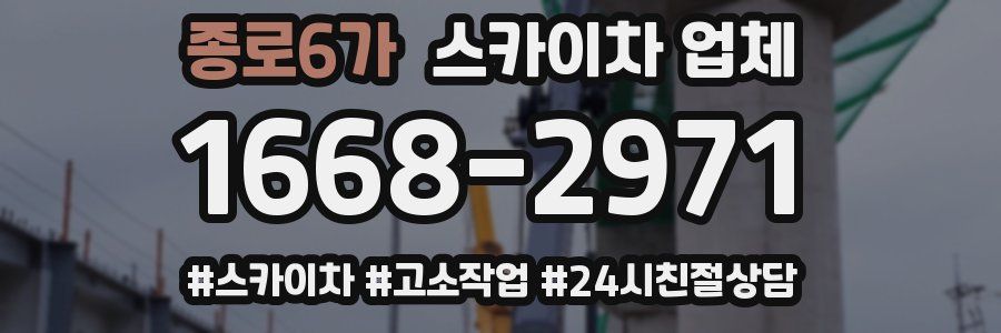 종로6가 스카이차 업체
