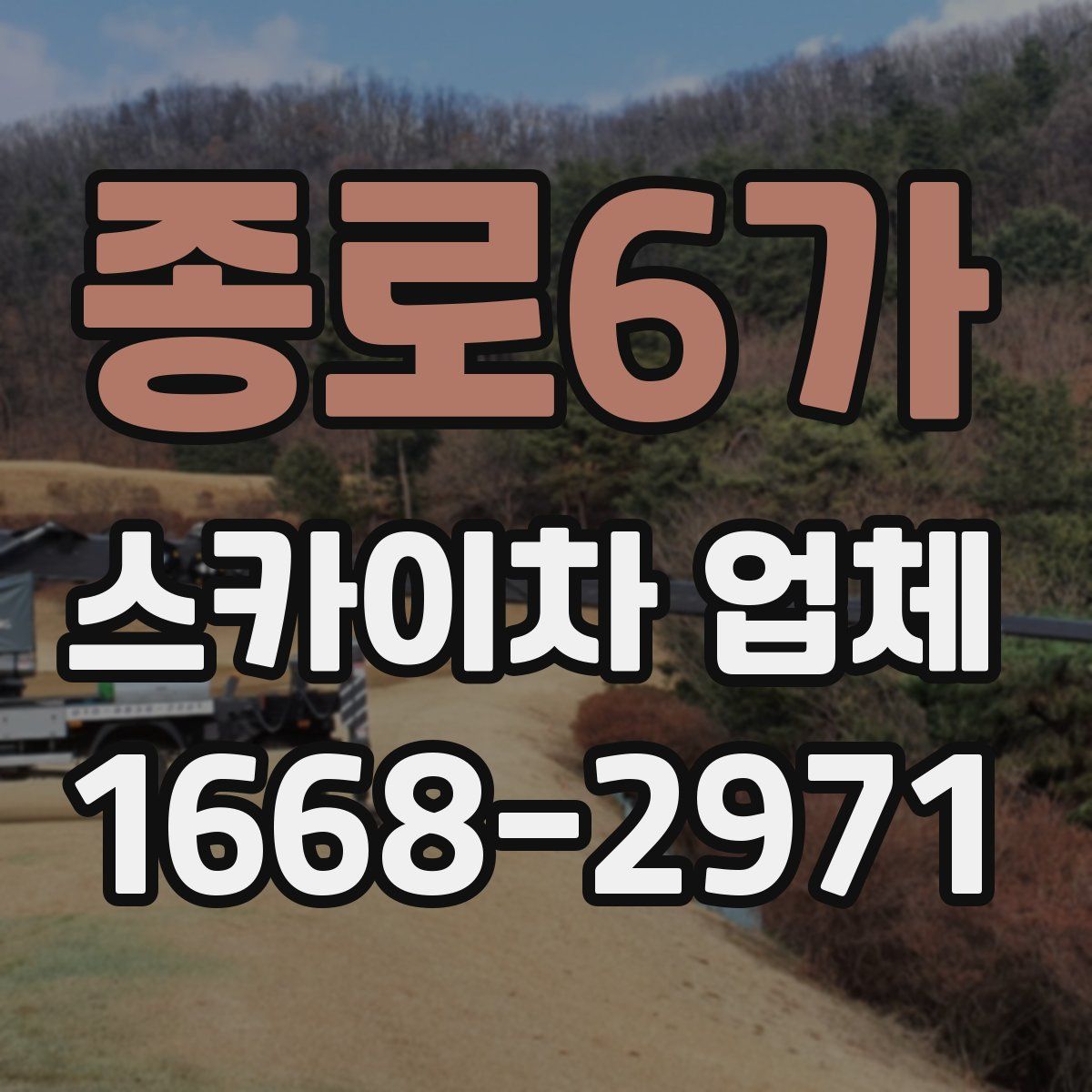 종로6가 스카이차 업체