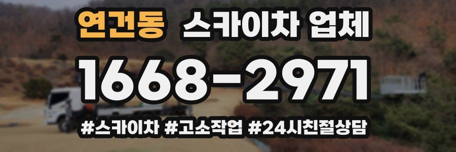 연건동 스카이차 업체