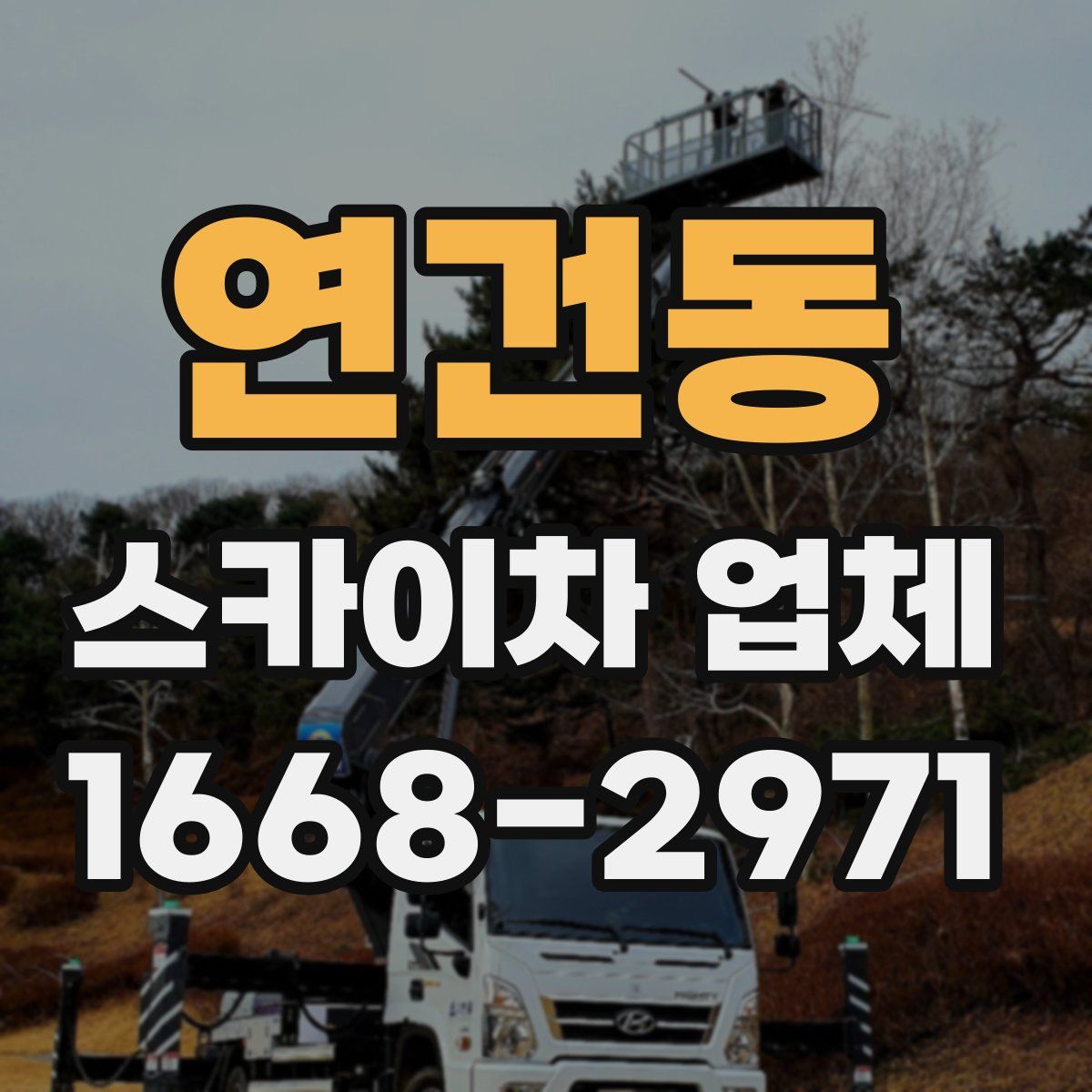 연건동 스카이차 업체