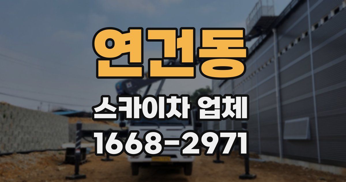 연건동 스카이차 업체