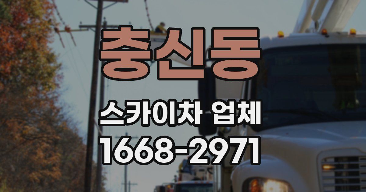 충신동 스카이차 업체