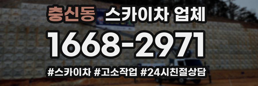 충신동 스카이차 업체