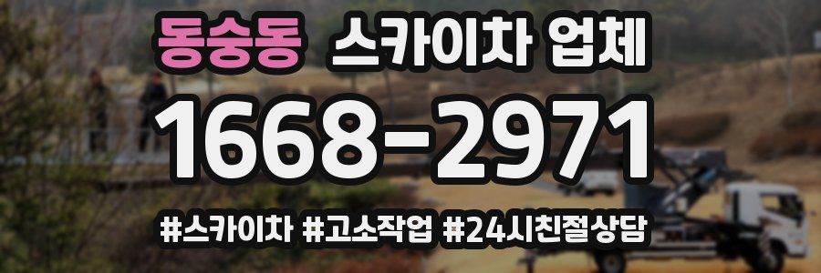 동숭동 스카이차 업체