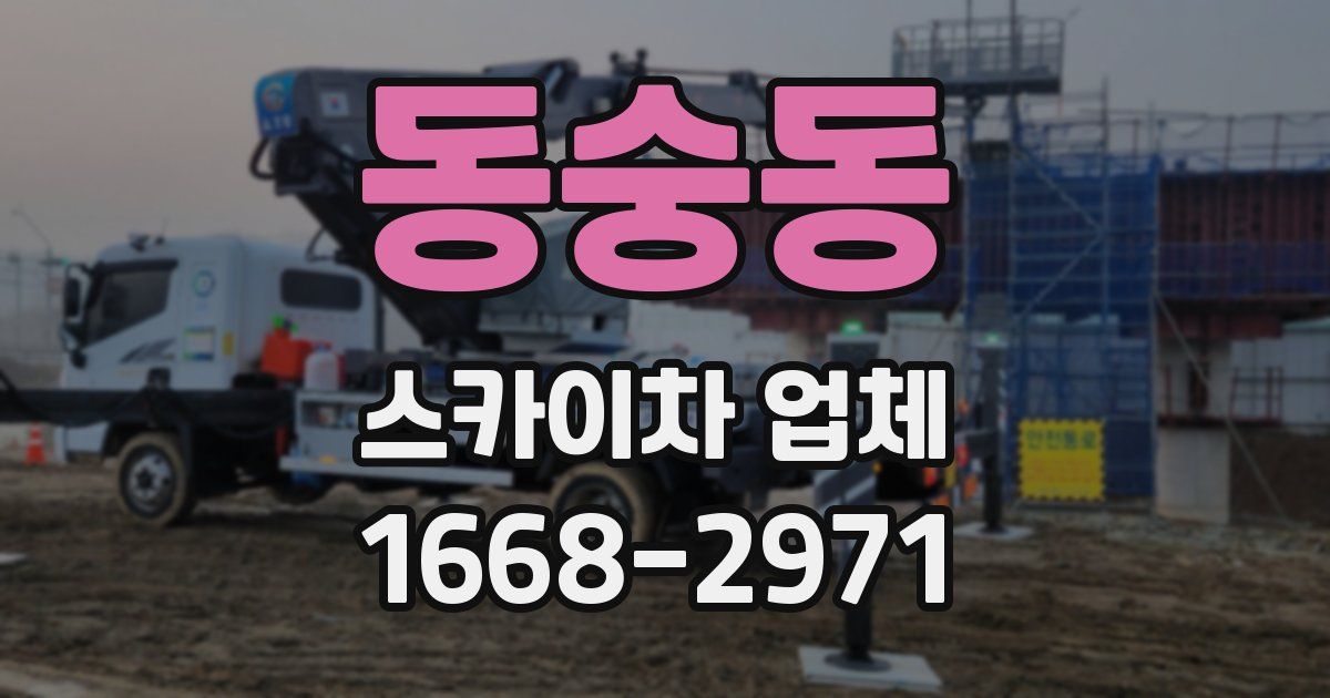 동숭동 스카이차 업체