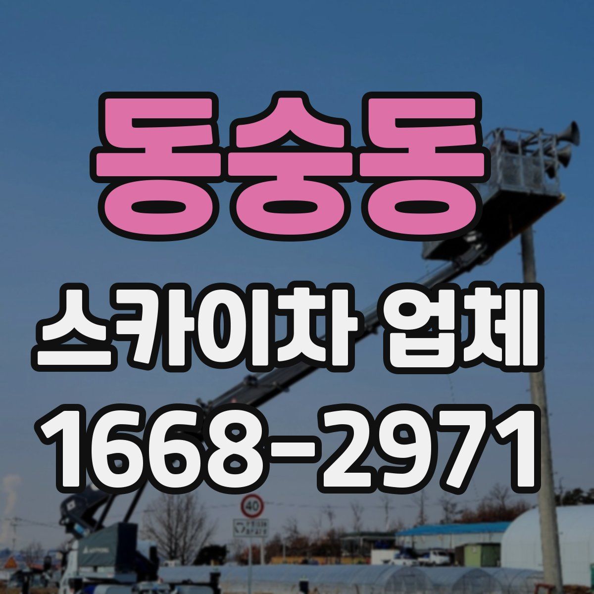 동숭동 스카이차 업체