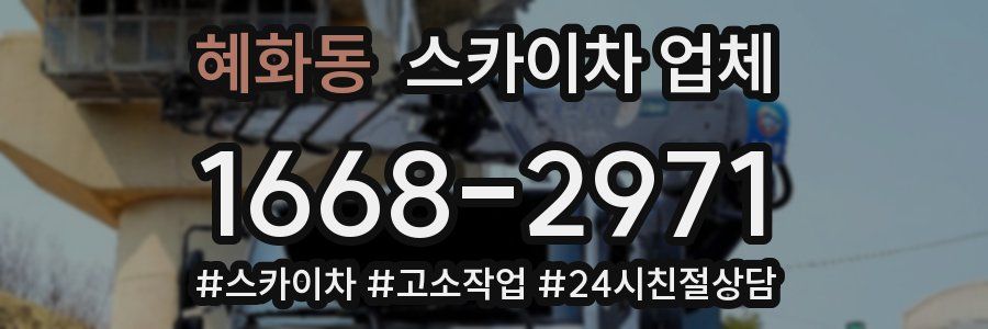 혜화동 스카이차 업체