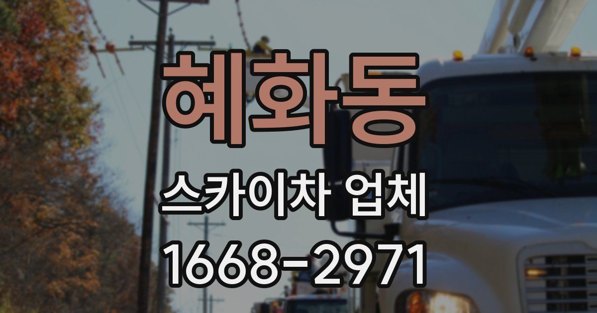 혜화동 스카이차 업체