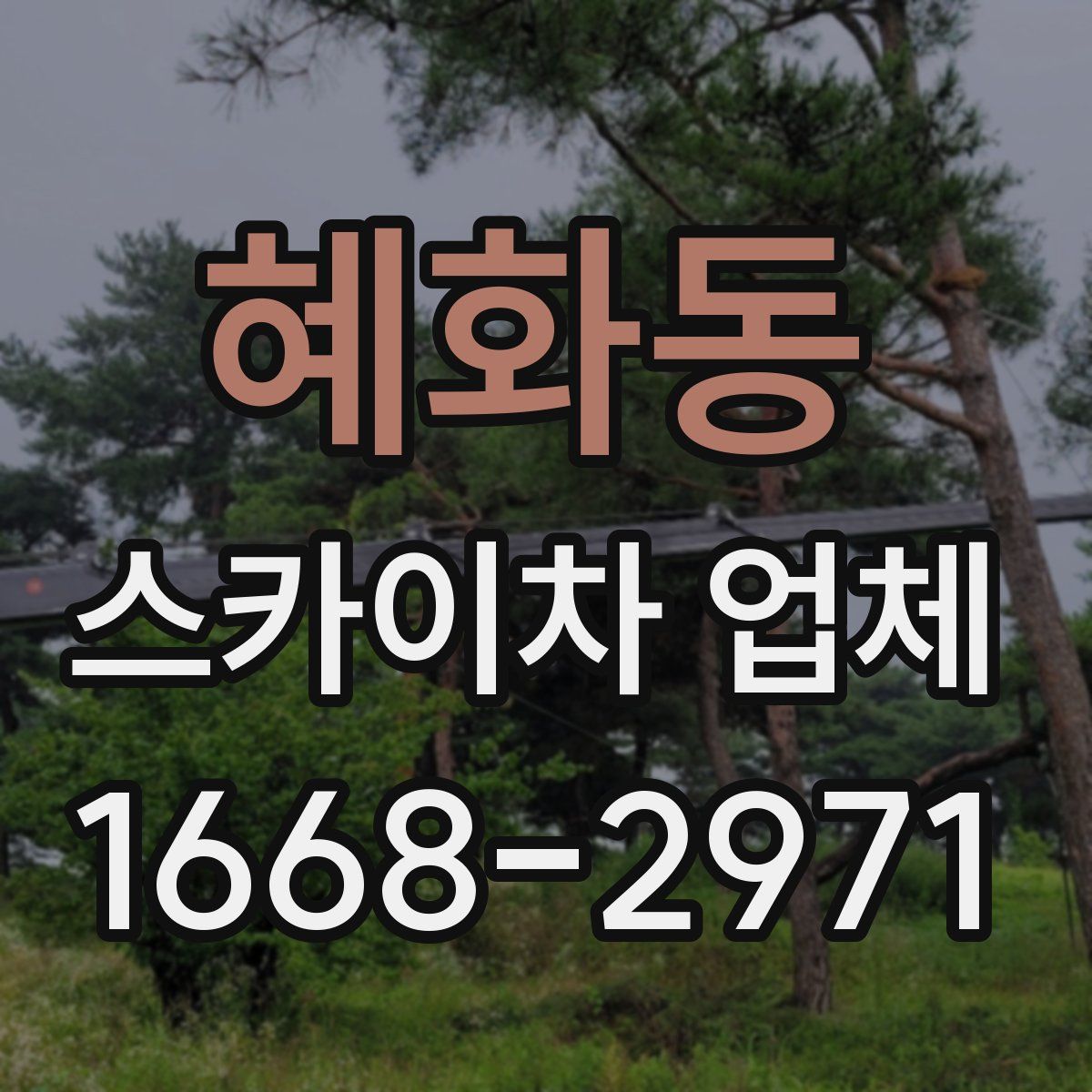 혜화동 스카이차 업체