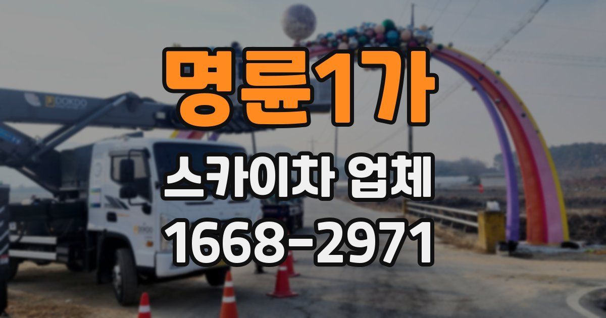 명륜1가 스카이차 업체