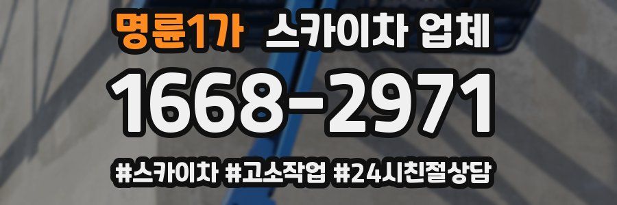 명륜1가 스카이차 업체