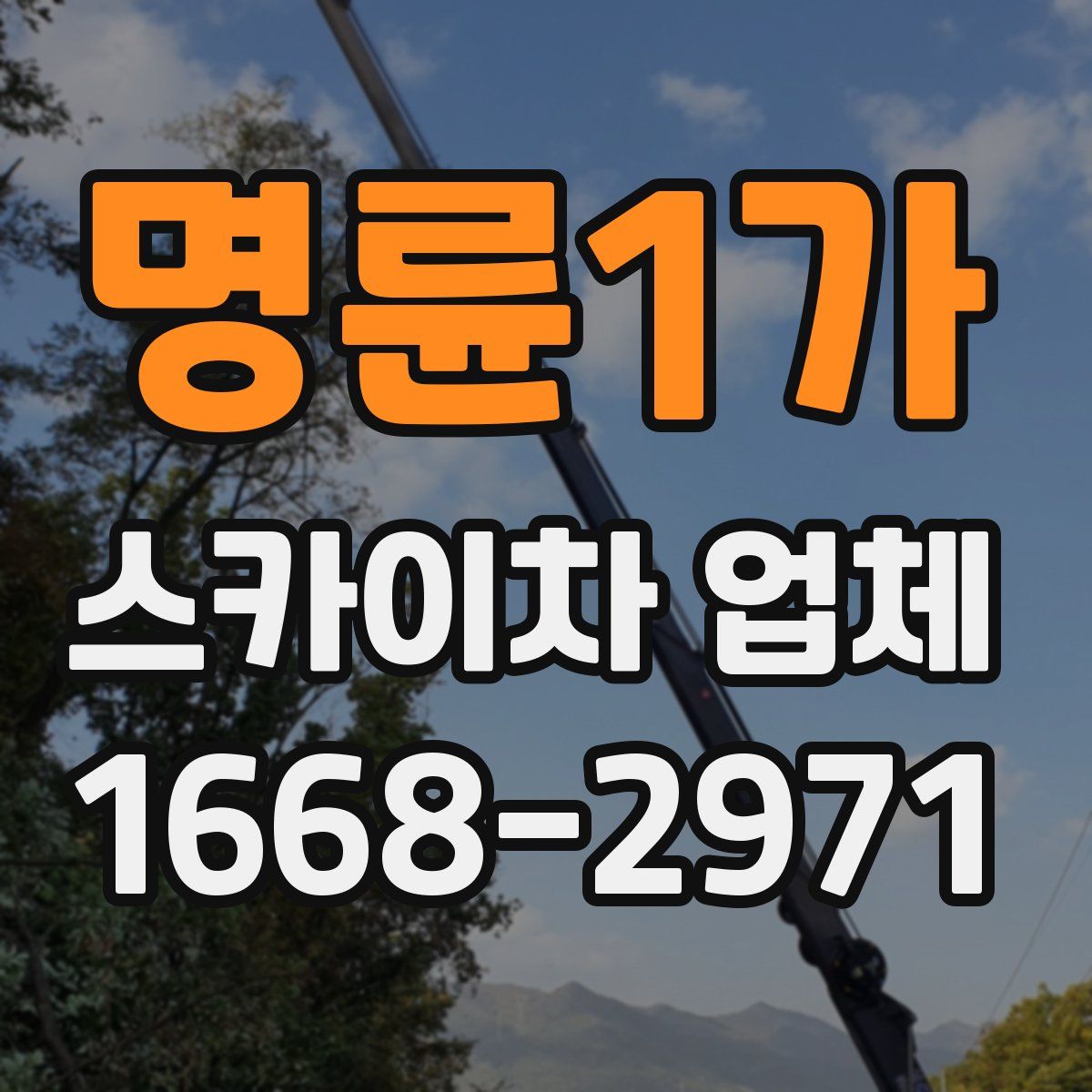 명륜1가 스카이차 업체