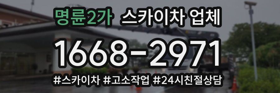 명륜2가 스카이차 업체