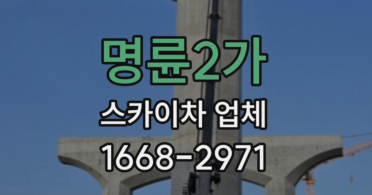 명륜2가 스카이차 업체
