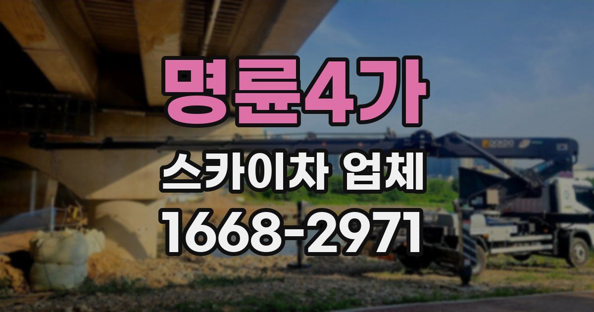 명륜4가 스카이차 업체