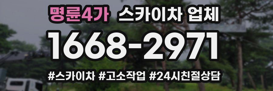 명륜4가 스카이차 업체