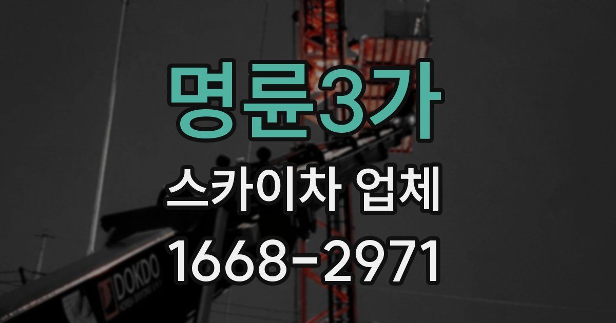 명륜3가 스카이차 업체