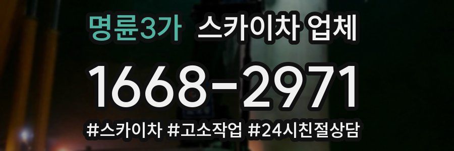 명륜3가 스카이차 업체