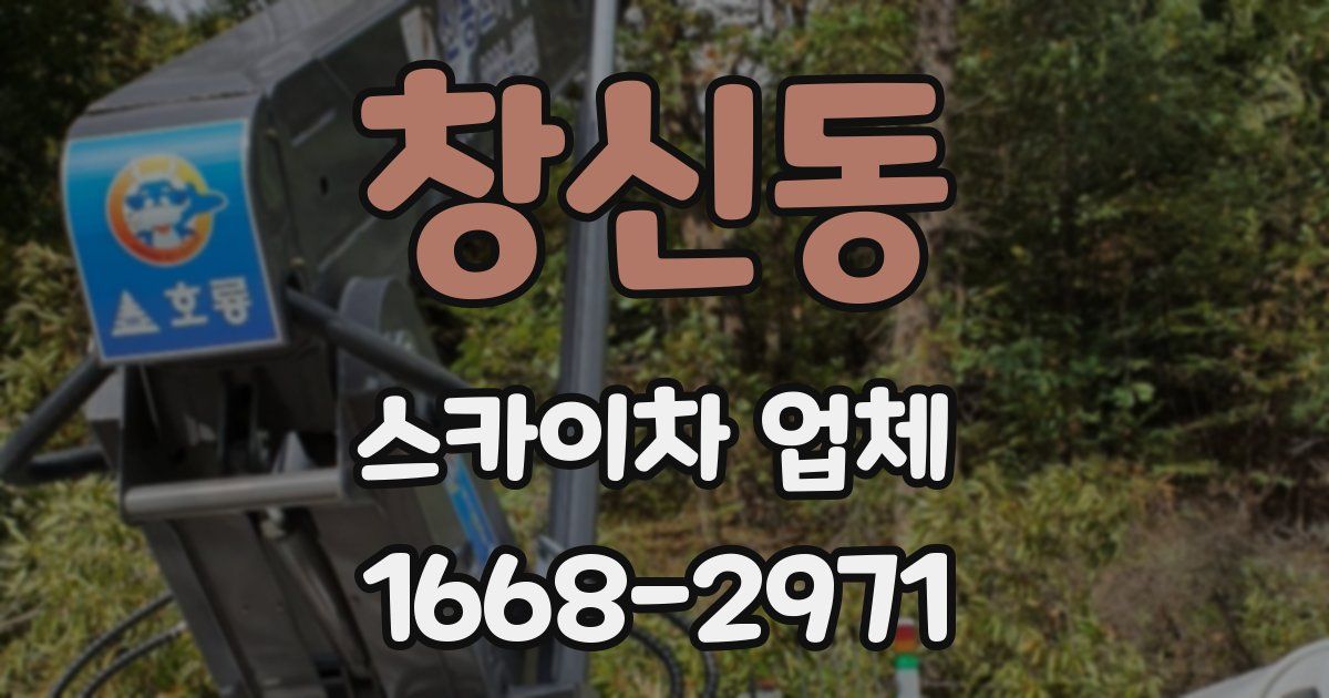 창신동 스카이차 업체