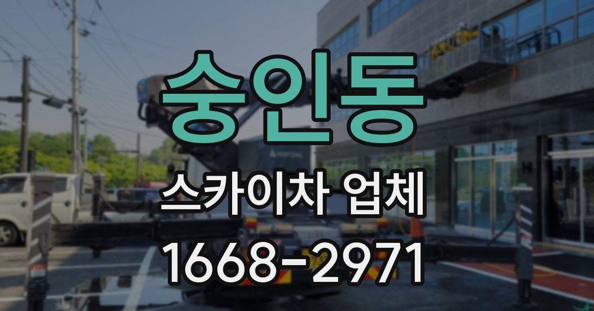 숭인동 스카이차 업체