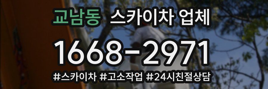 교남동 스카이차 업체