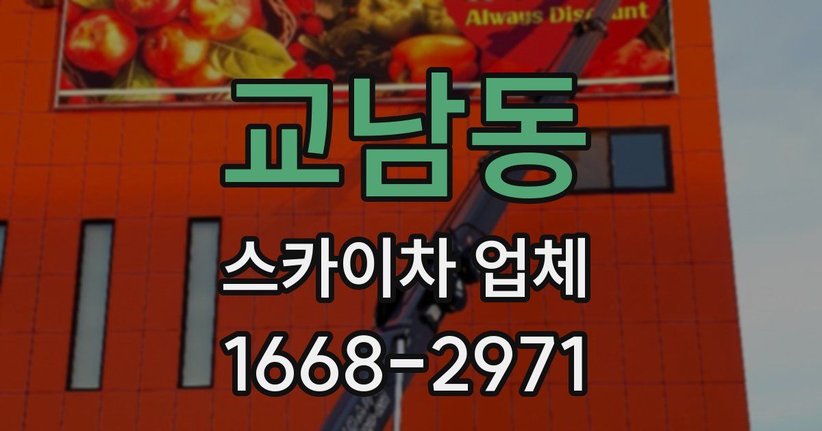 교남동 스카이차 업체