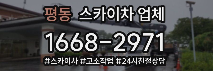 평동 스카이차 업체