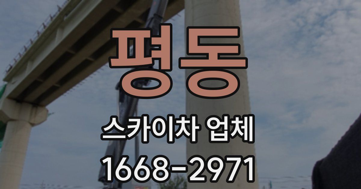평동 스카이차 업체