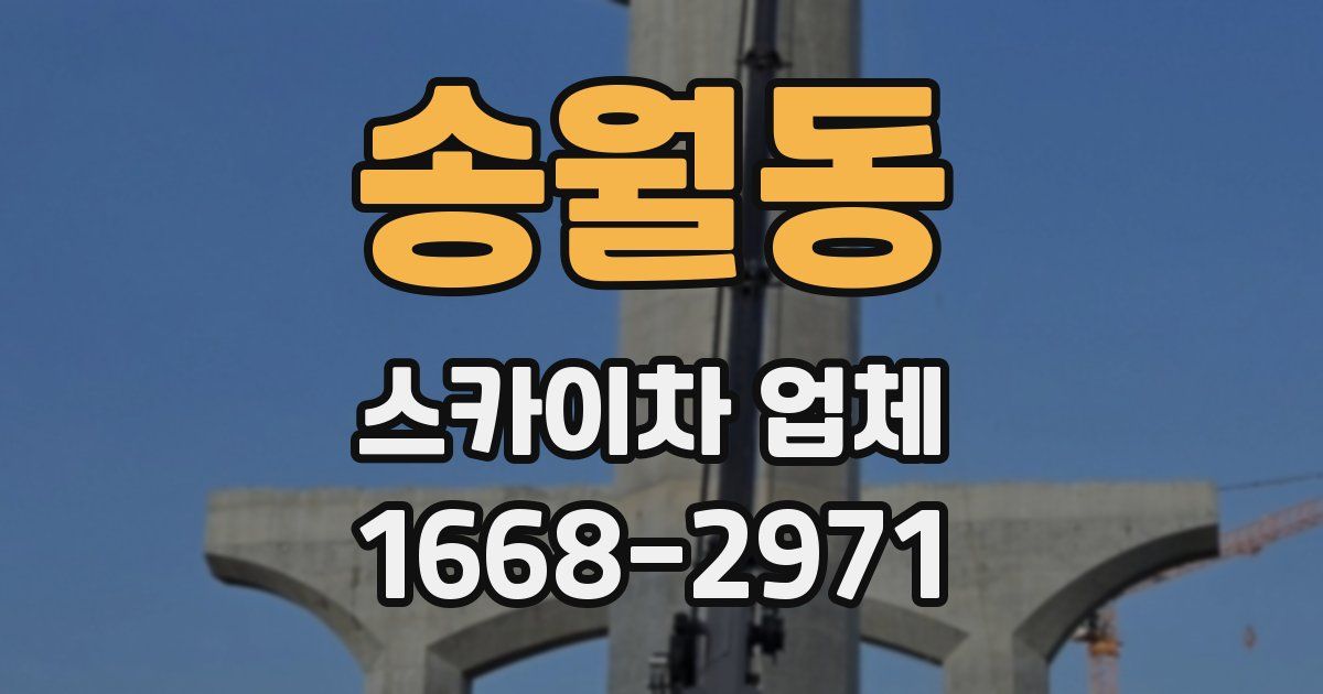 송월동 스카이차 업체