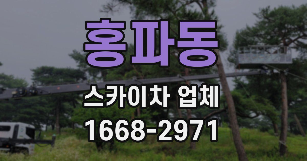 홍파동 스카이차 업체