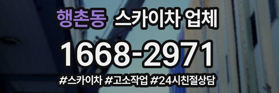 행촌동 스카이차 업체