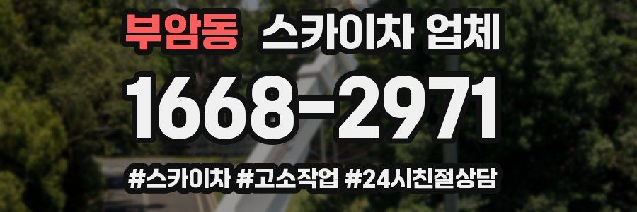 부암동 스카이차 업체