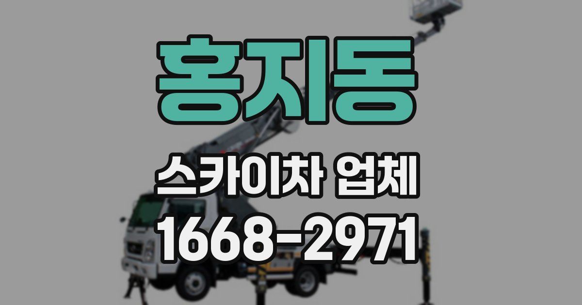 홍지동 스카이차 업체
