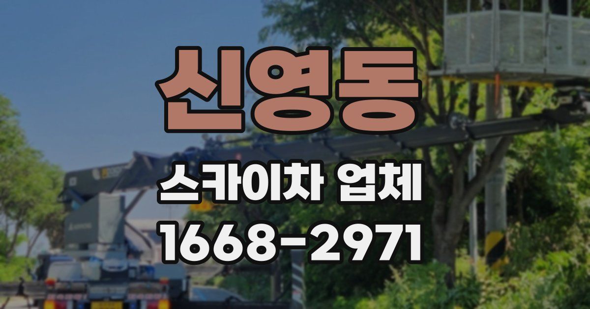 신영동 스카이차 업체