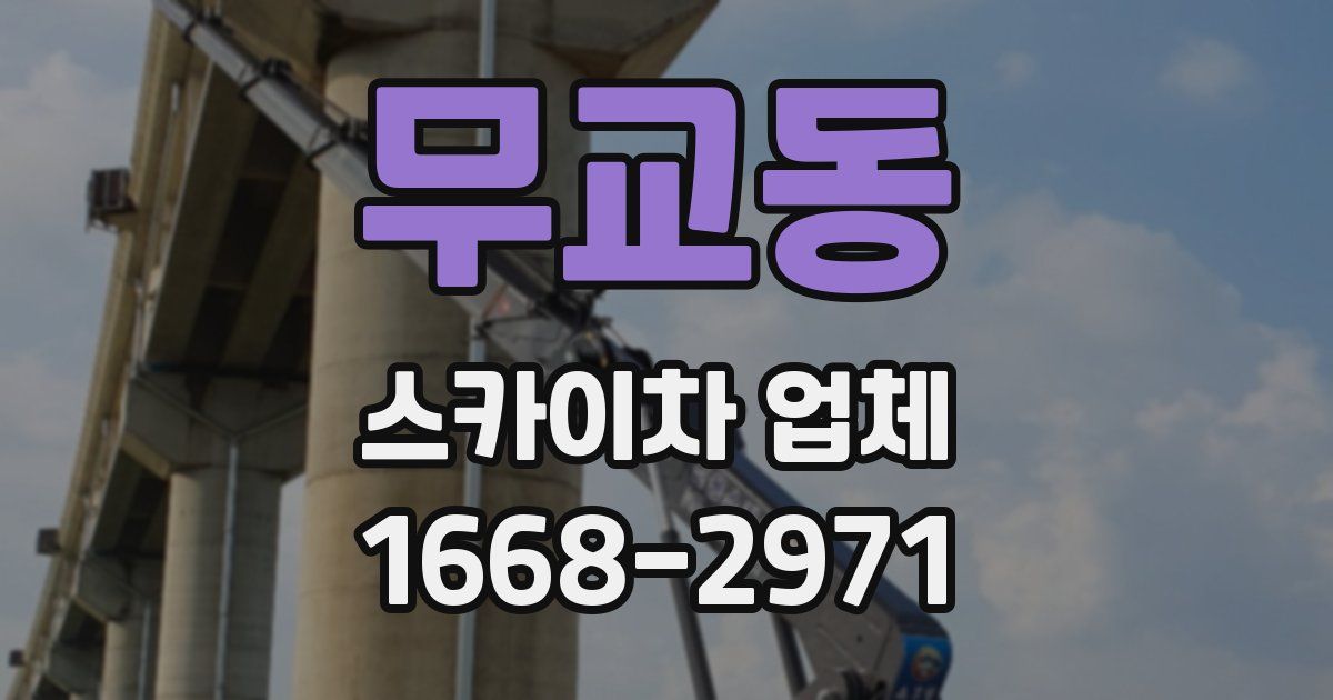 무교동 스카이차 업체