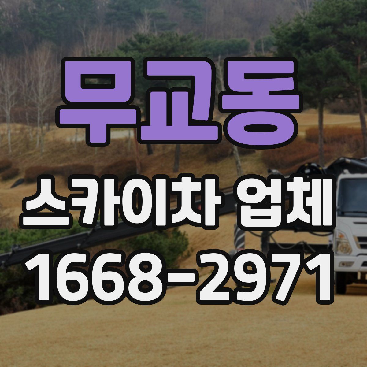무교동 스카이차 업체