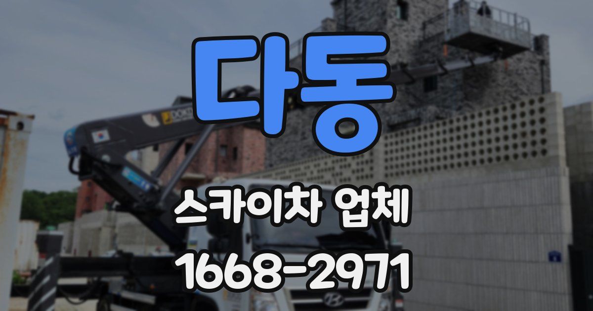 다동 스카이차 업체