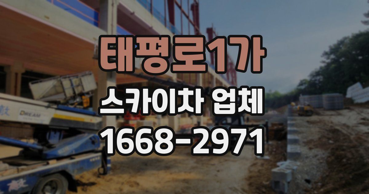 태평로1가 스카이차 업체