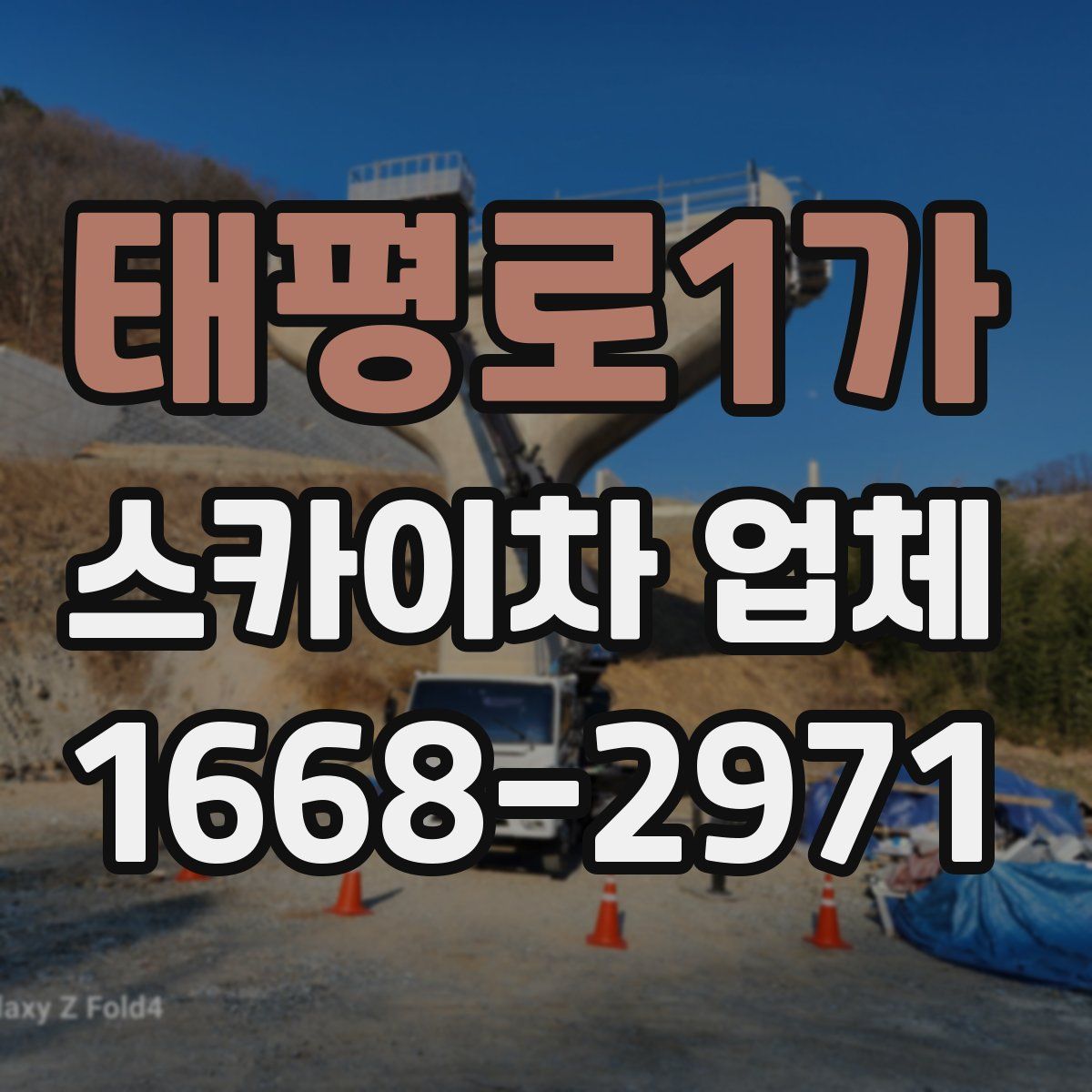 태평로1가 스카이차 업체