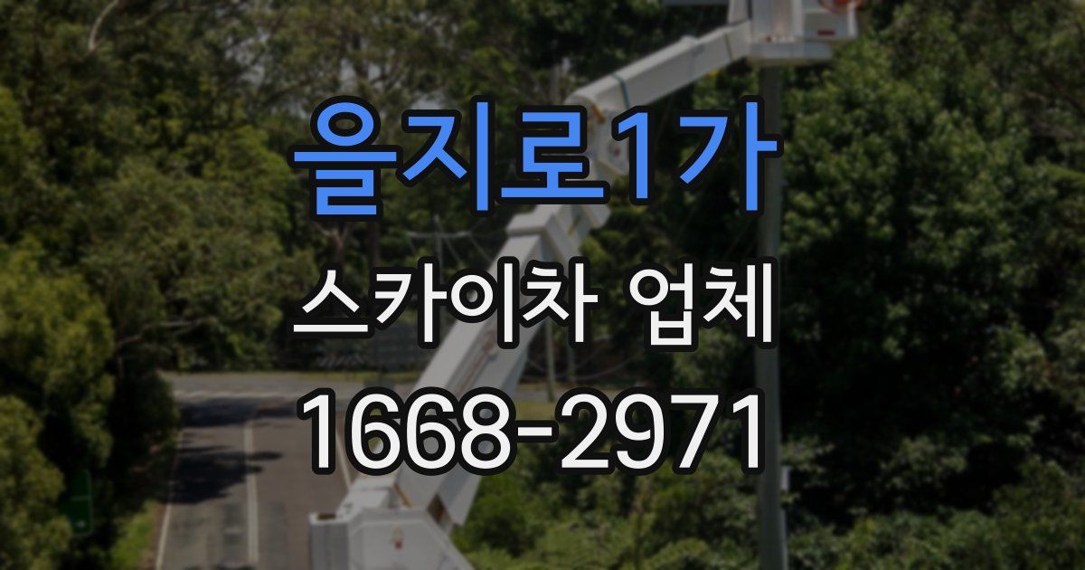 을지로1가 스카이차 업체