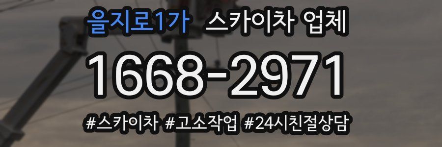 을지로1가 스카이차 업체