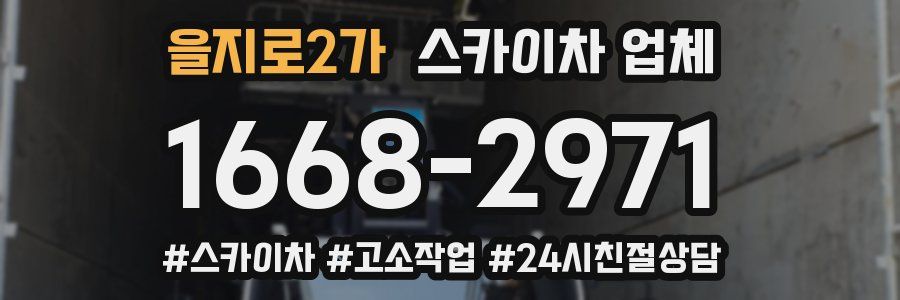 을지로2가 스카이차 업체