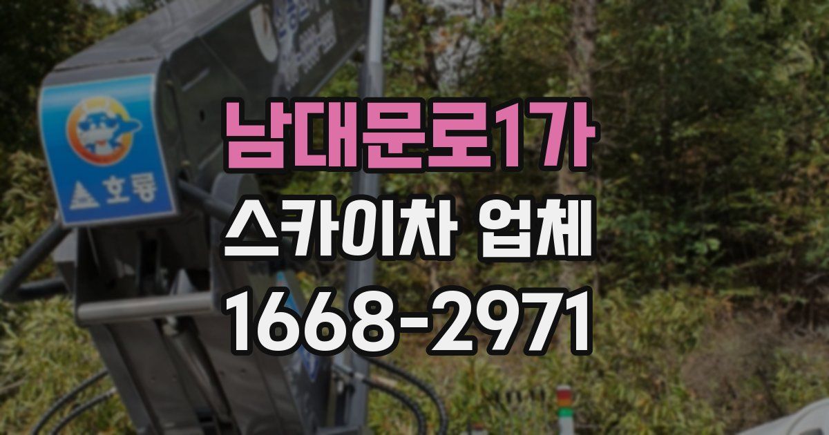 남대문로1가 스카이차 업체