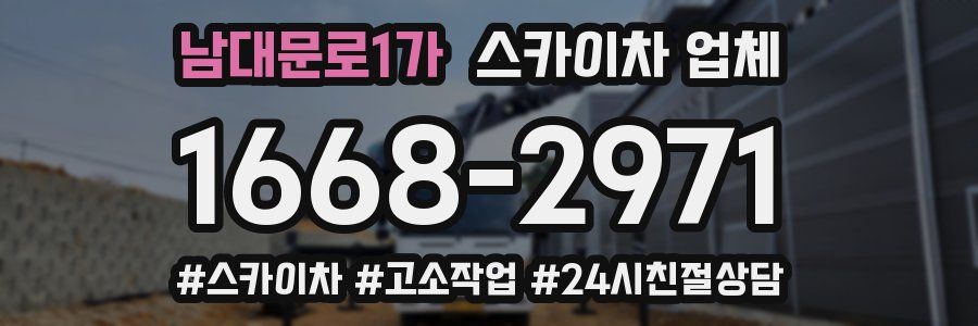 남대문로1가 스카이차 업체