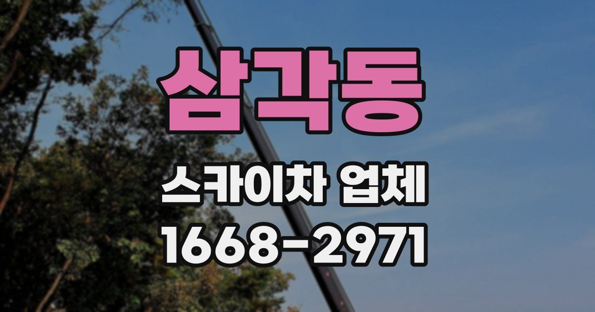 삼각동 스카이차 업체