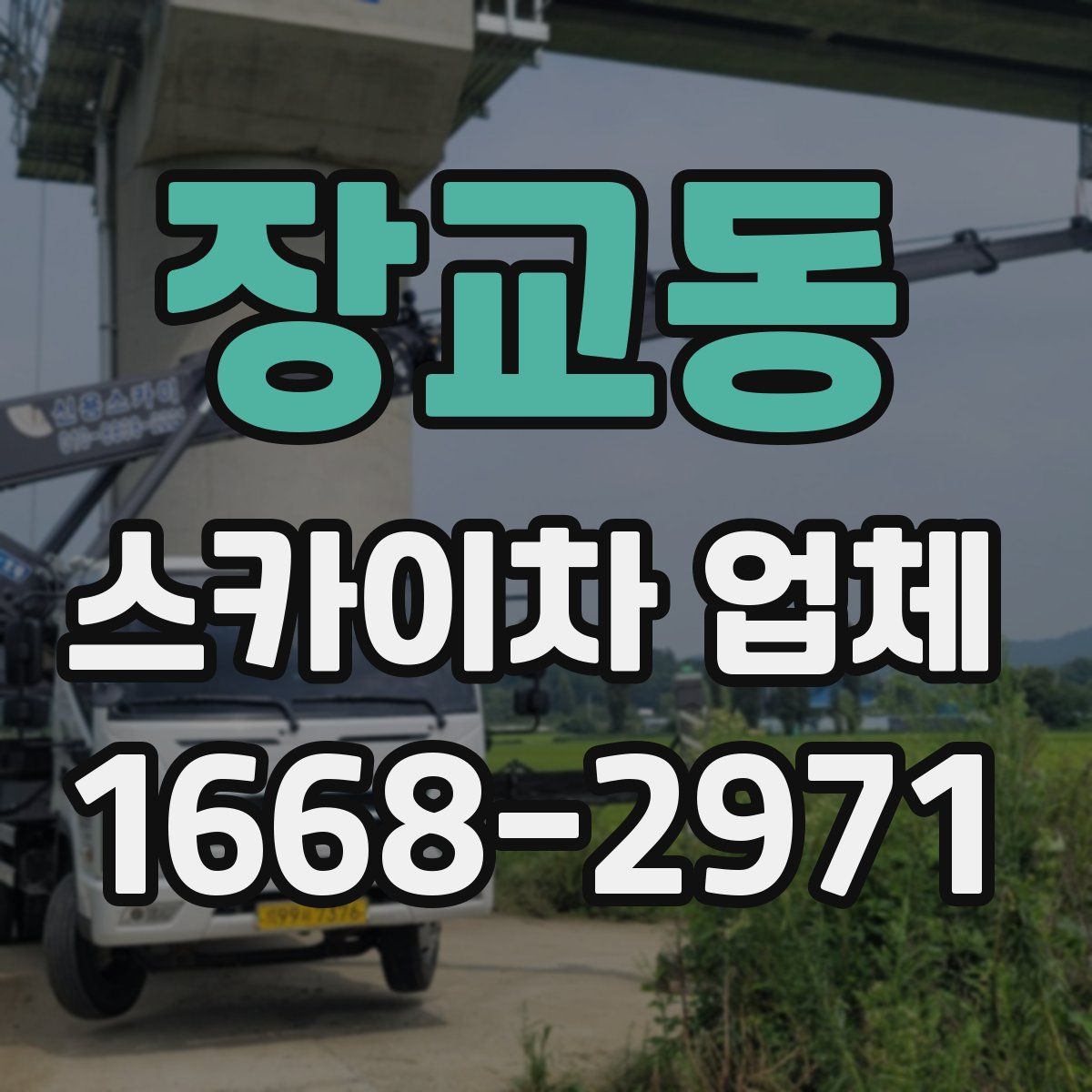 장교동 스카이차 업체