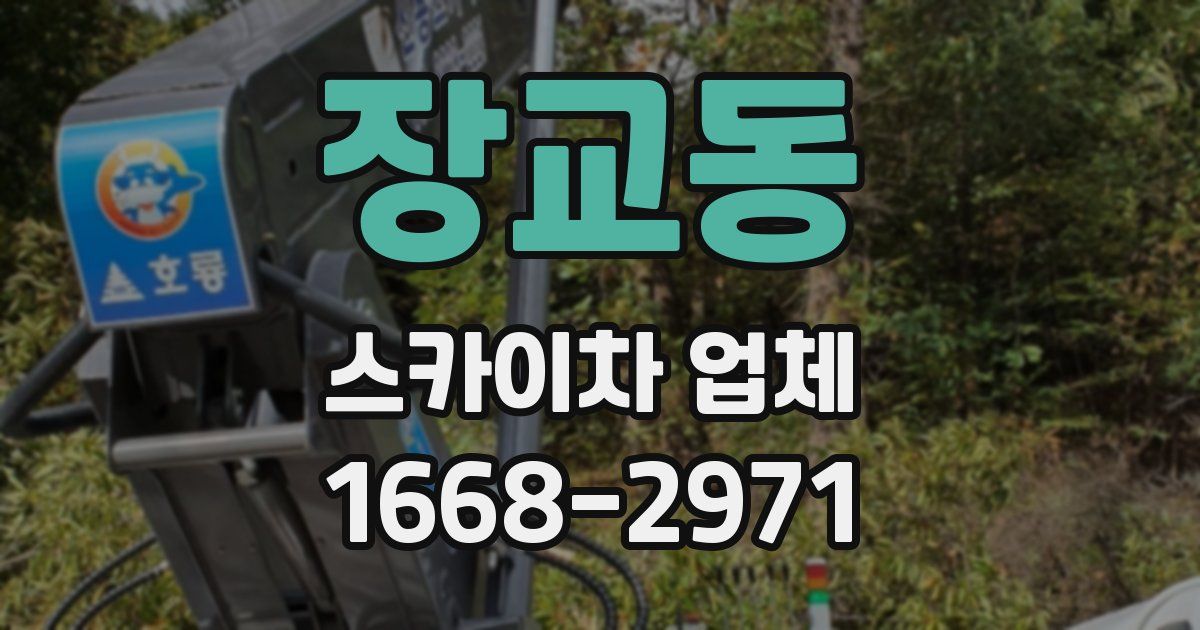 장교동 스카이차 업체