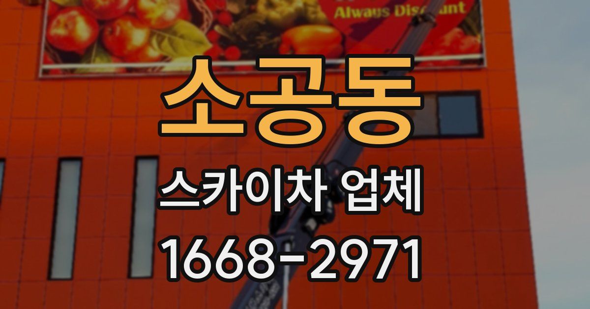 소공동 스카이차 업체