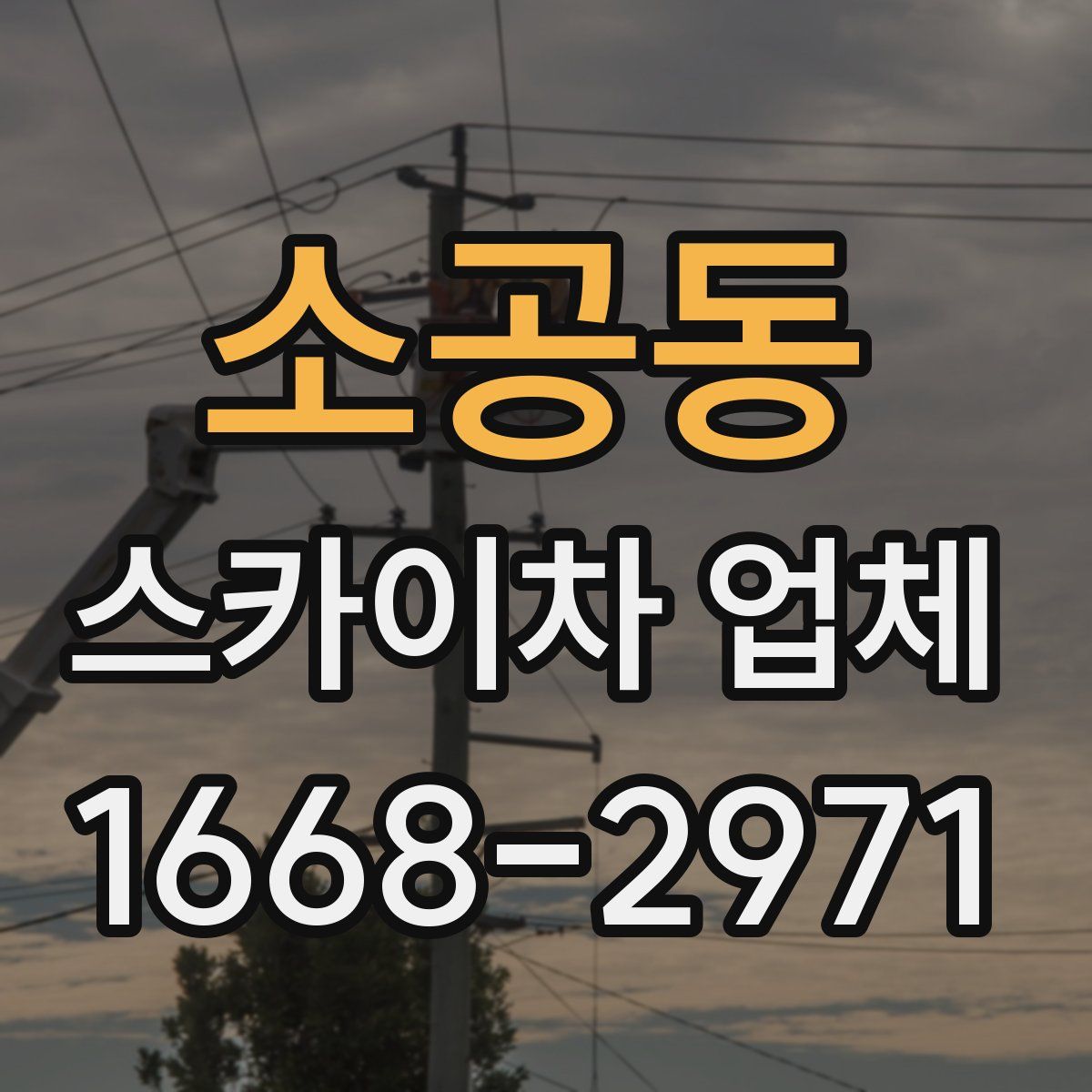 소공동 스카이차 업체